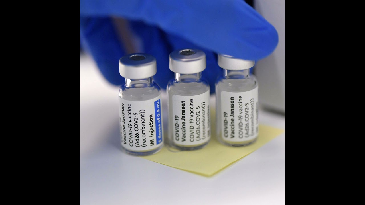 Diese Rolle spielen Embryos f&uuml;r Impfstoffe