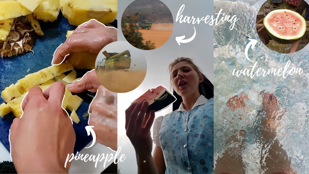 Влог №68 Откуда взялась наша колония/как это произошло, выкройки одежды + как я провожу свои своб...