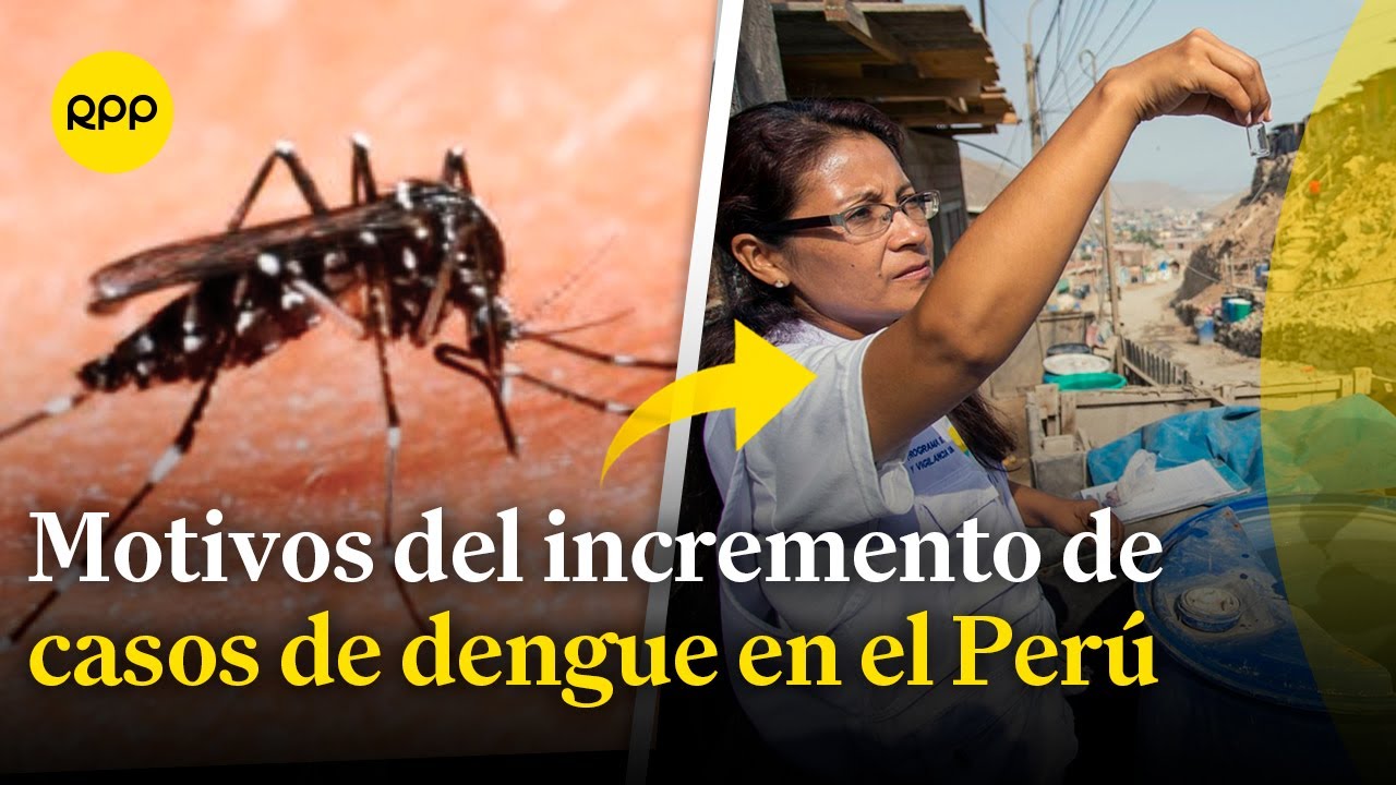 ¿Por qué se registró un incremento de casos de dengue?