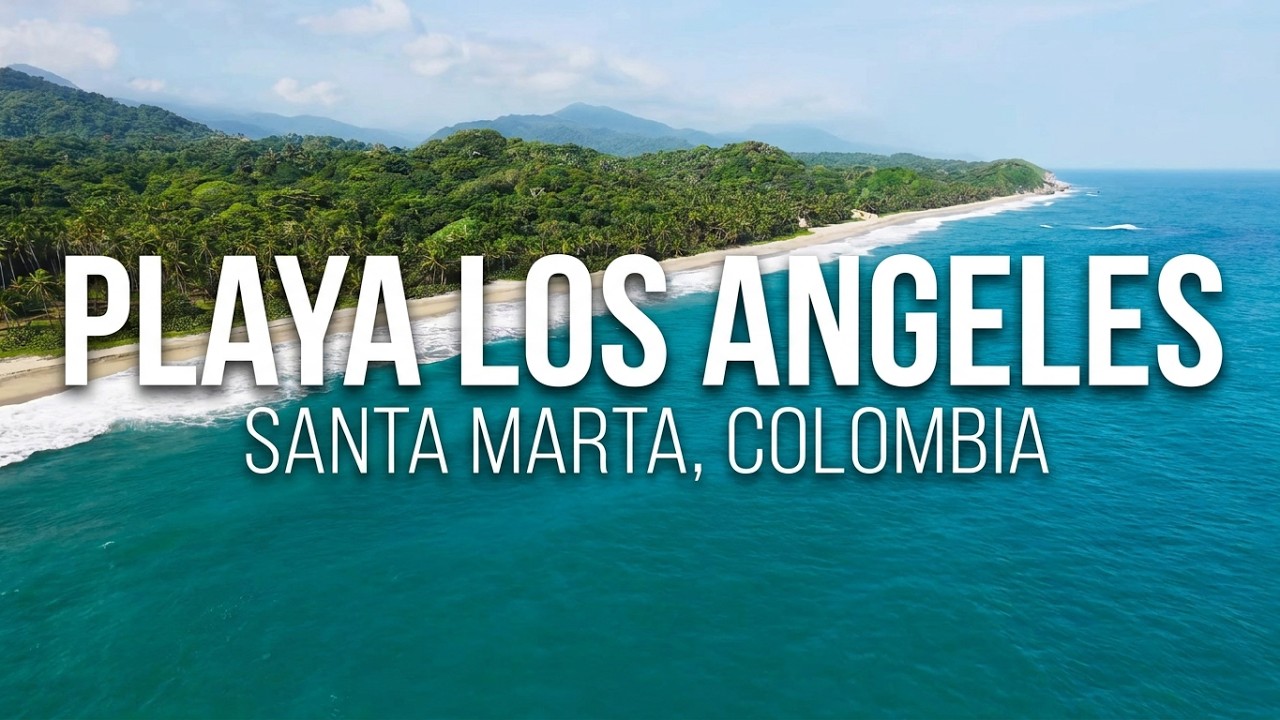 Playa Los Angeles, Santa Marta - Colombia 12/2025