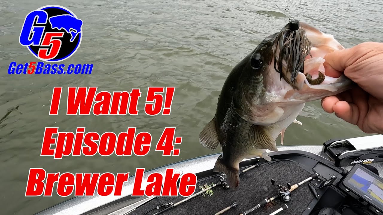 Brewer Lake Bass Fishing - I Want 5! Episode 4 #arkansasbassfishing #brewerlake #Iwant5!
