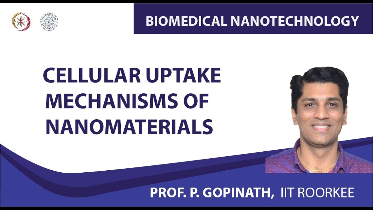 Cellular uptake mechanisms of nanomaterials