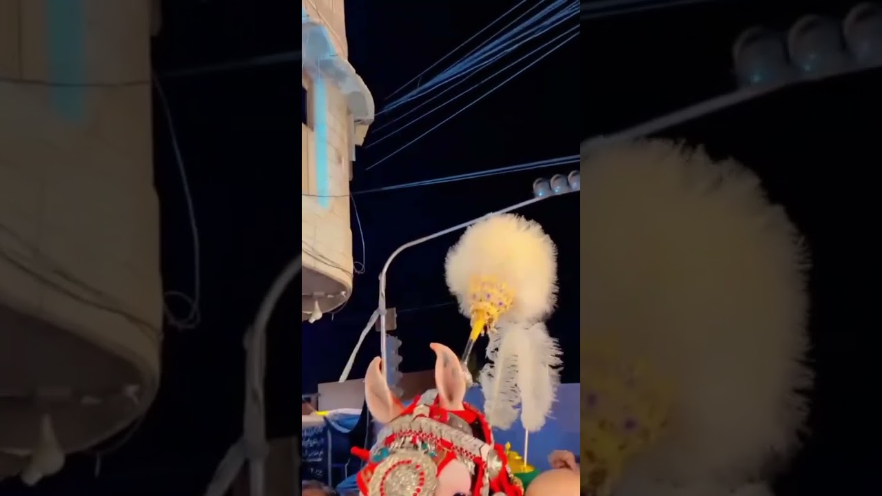 8 zilhaj #zuljanah #yahussain #viralshrotvideo