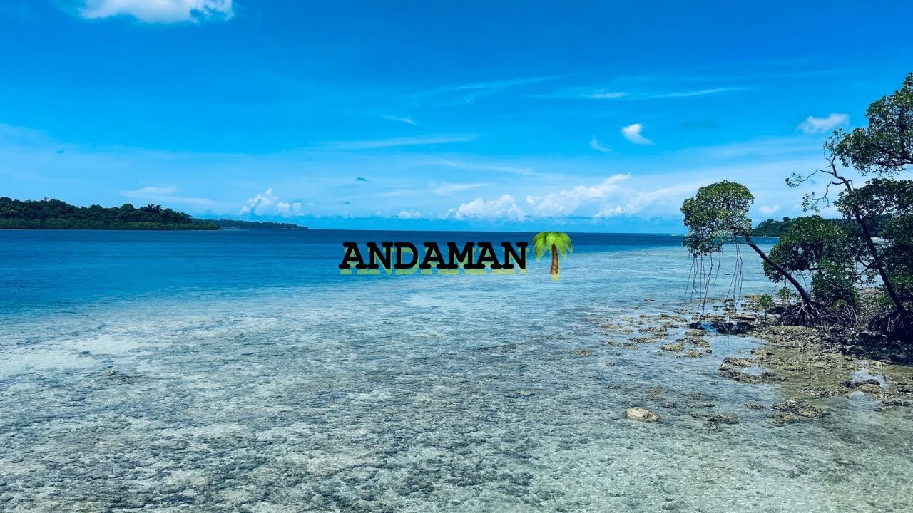 Andaman Island Diaries | Beaches,Cruise & Caves✨🌴 #andamanisland #travelvlog #india #travel #explore