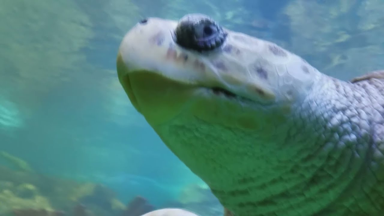 //2222