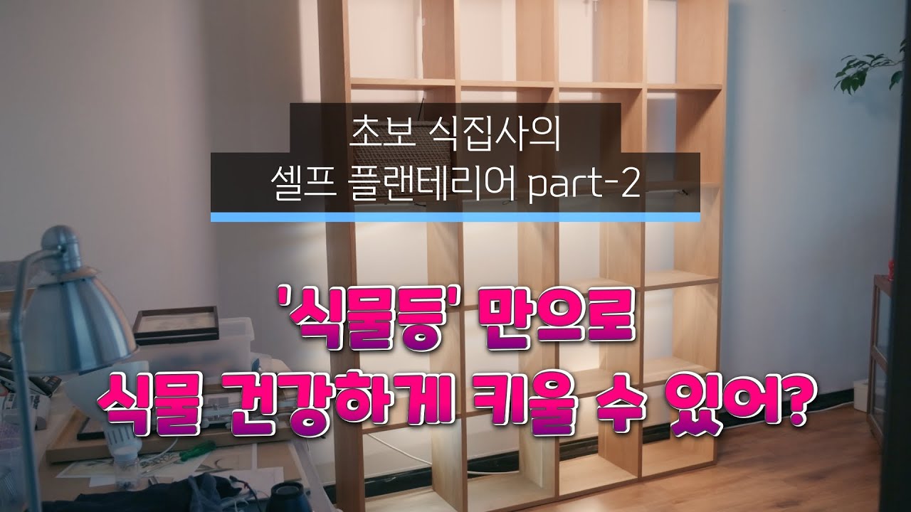 초보 식집사의 식물 일기 '식물여행' 채널입니다.나만의 멋진  플랜테리어와 건강한 가드닝 정보를 공유합니다. 많은 관심과 격려 부탁 드립니다.  여러분들과 함께 성장하고 싶습니다.