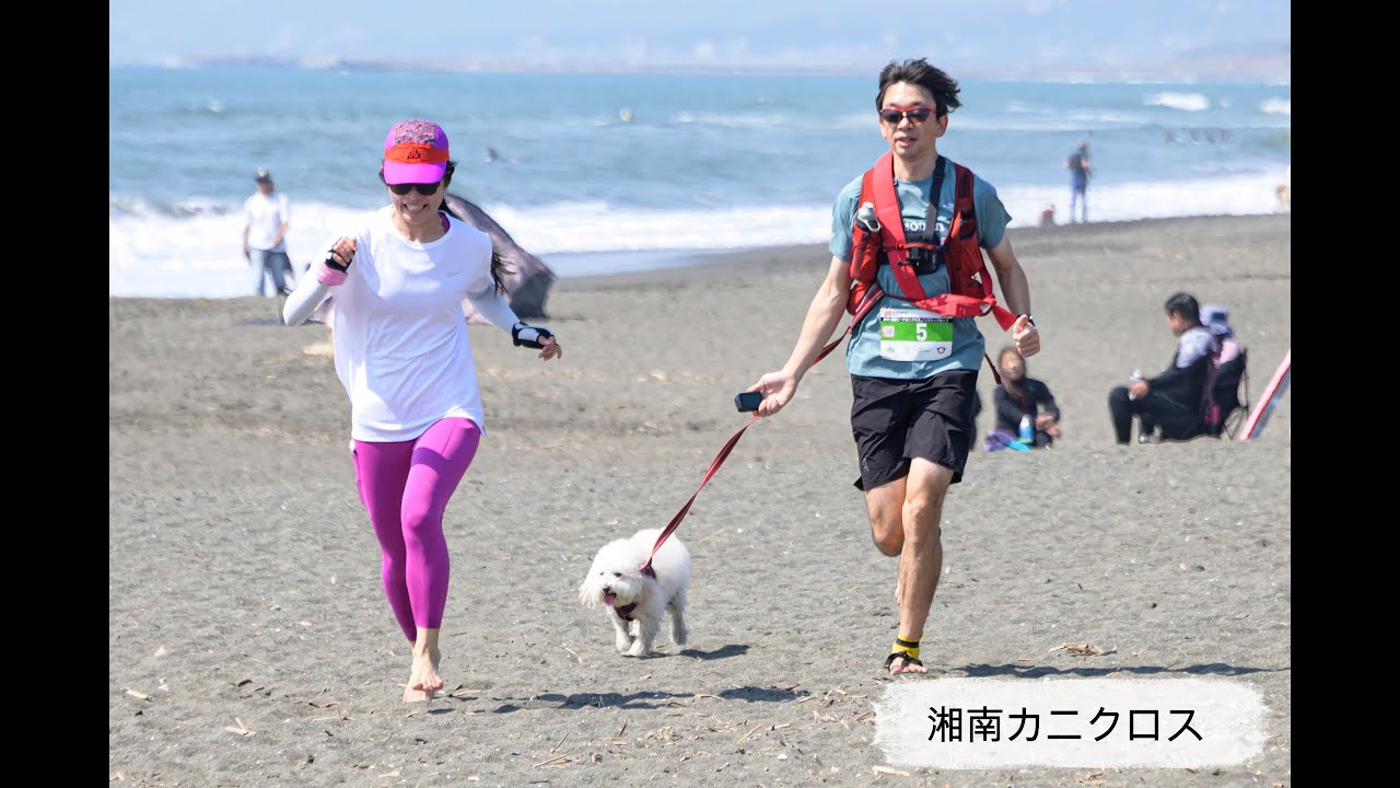 湘南カニクロス2025
