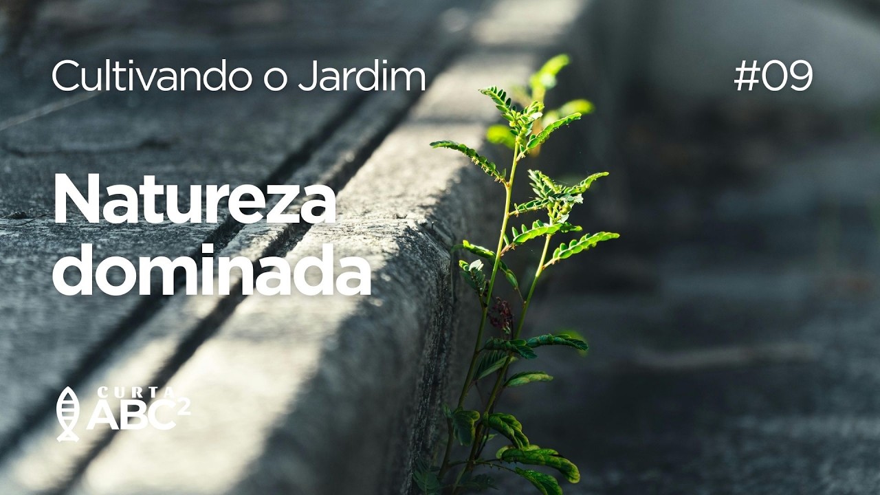 NATUREZA DOMINADA