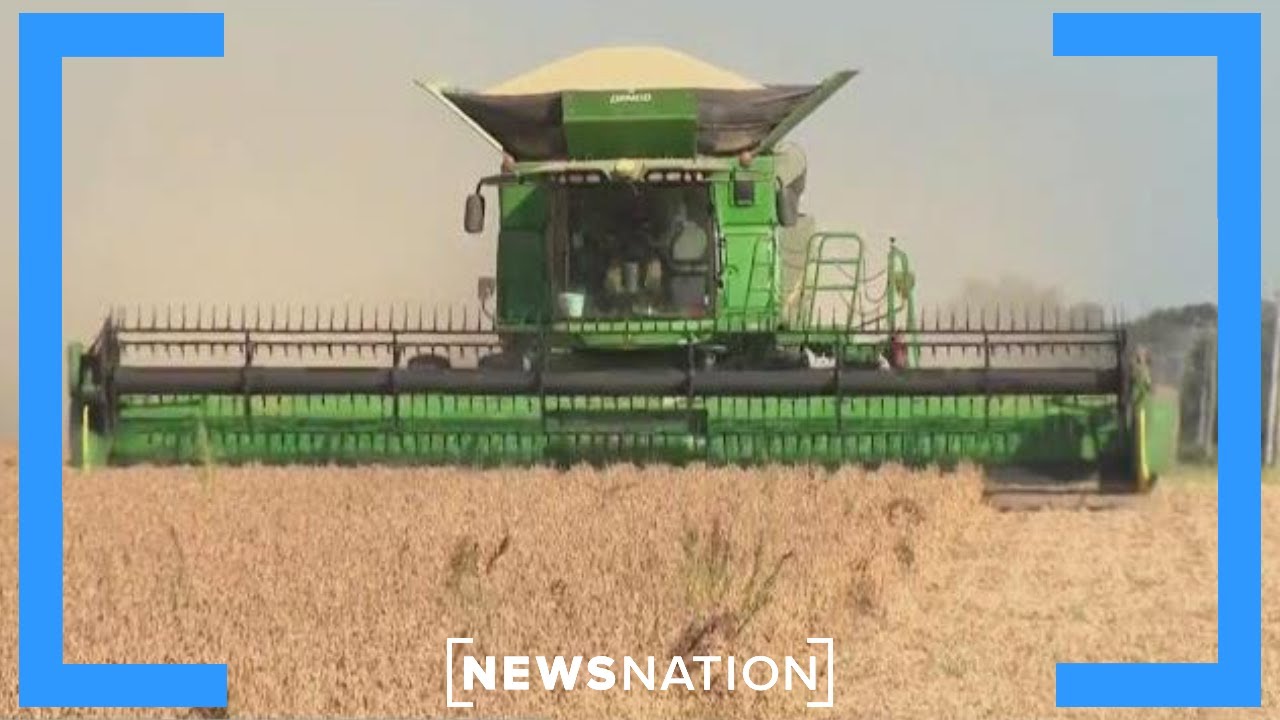 Why Trump's $12B in farm aid may come too late | Morning in America