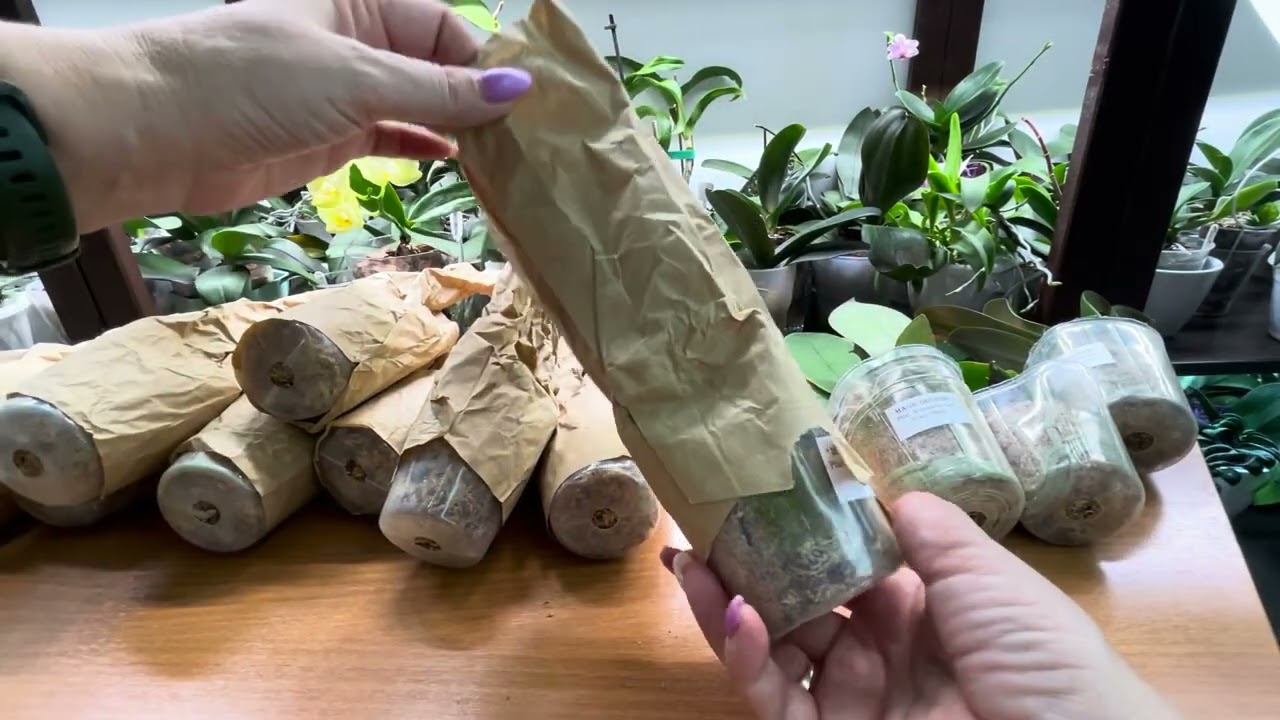 Огромная посылка от Magic Orchids