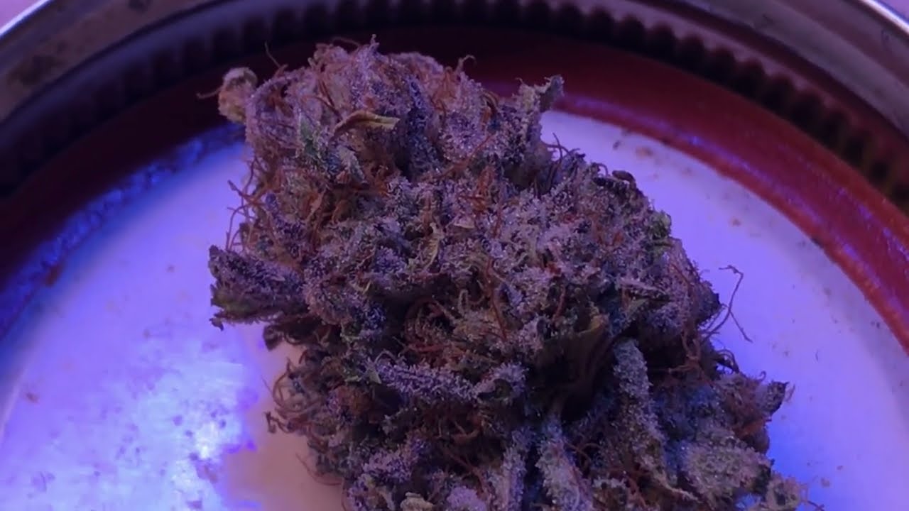 Frosted fruit cake looking sweet dry flower + update on Drago clones and rockstar Kush seedlings