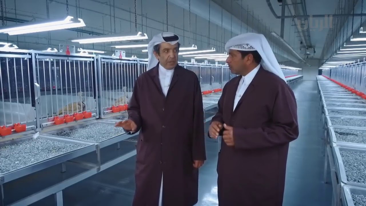 تعرف على  مركز روضة الفرس لإنتاج وإكثار الحبارى بدولة قطر