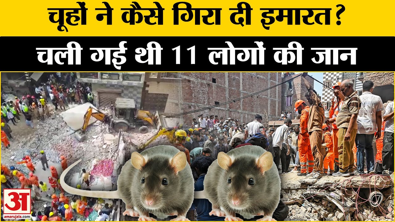 Delhi Mustafabad Building Collapse: बिल्डिंग ढहने की असली वजह का खुला राज? | MCD