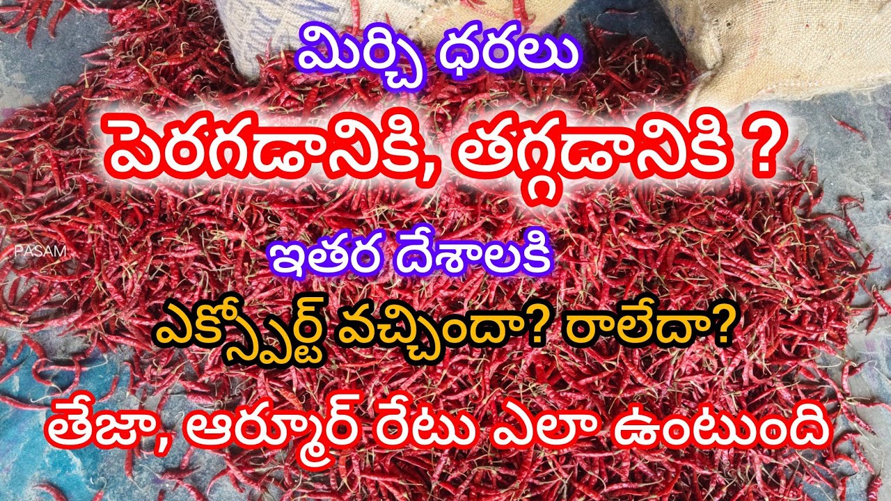 మిర్చి@ మార్కెట్ రేట్లు @