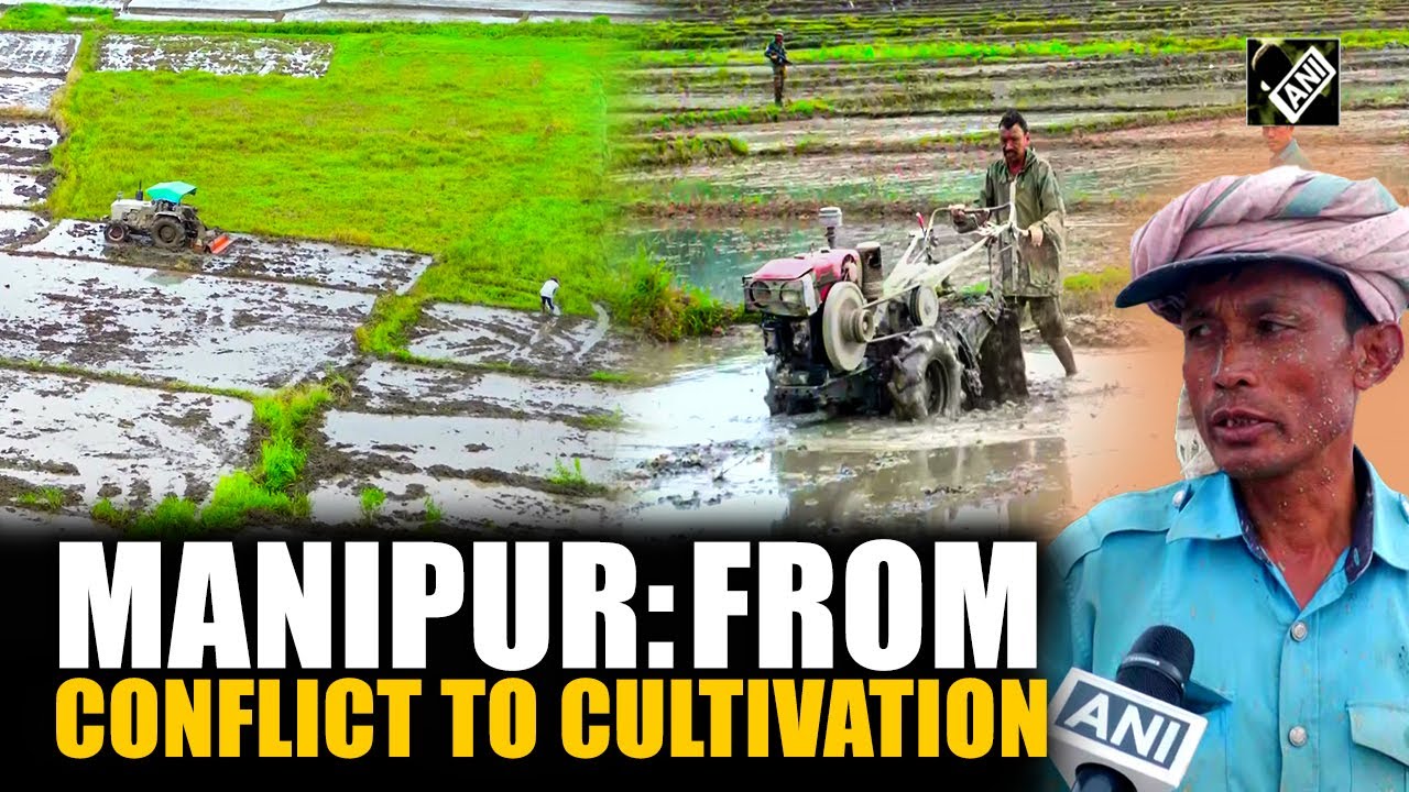 Life restarts in Manipur’s conflict-hit villages through farming