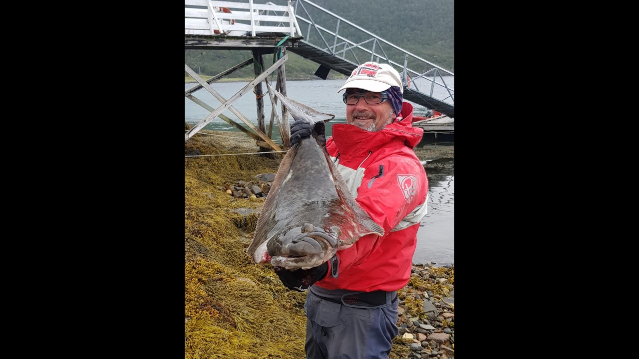 Nordnorwegen Senja Aug.2021 Heilbutt vom Hobie i11s Kajakangeln