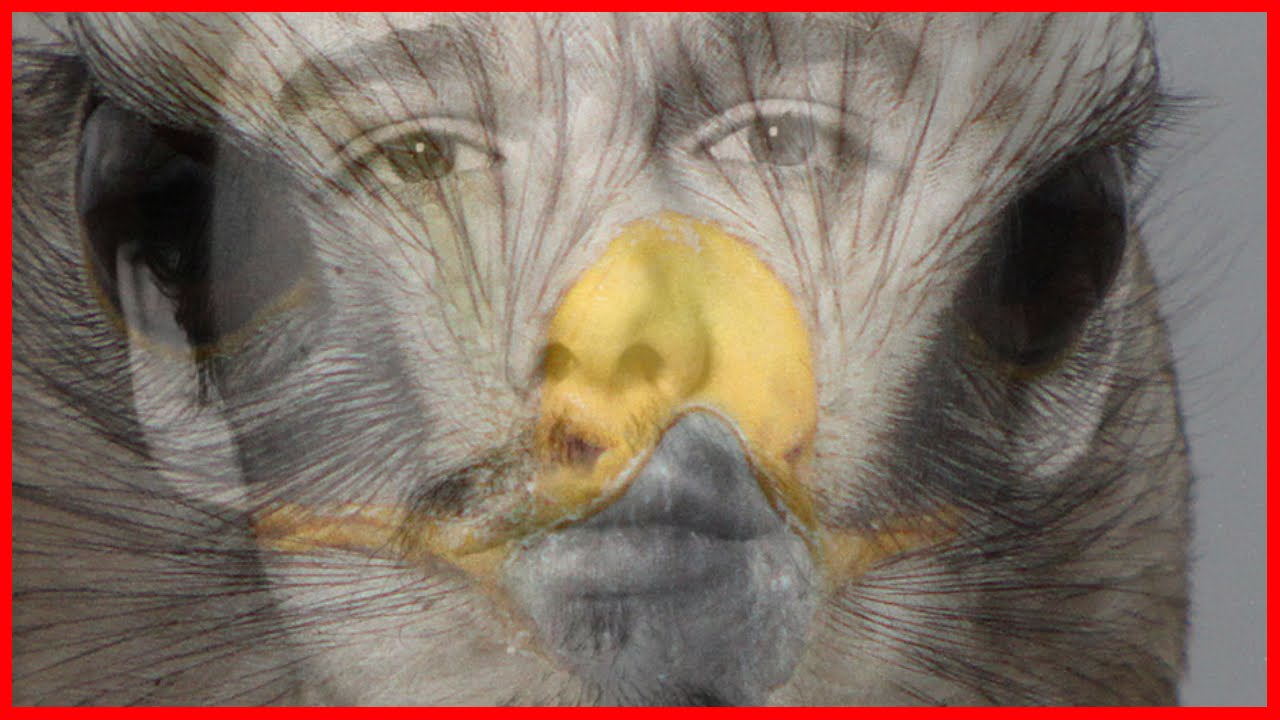 Photoshop Exercise 3:  Wanda Wulz Double Exposures