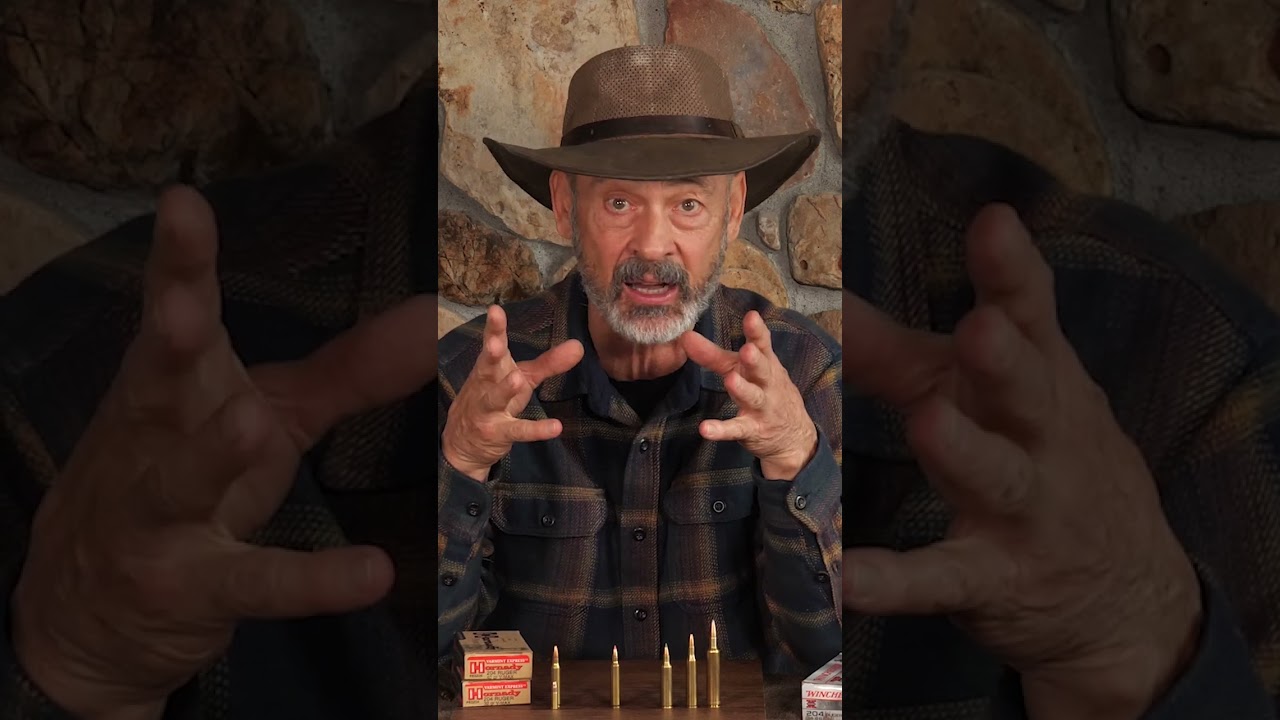 Inexpensive Cartridge for Hunters?