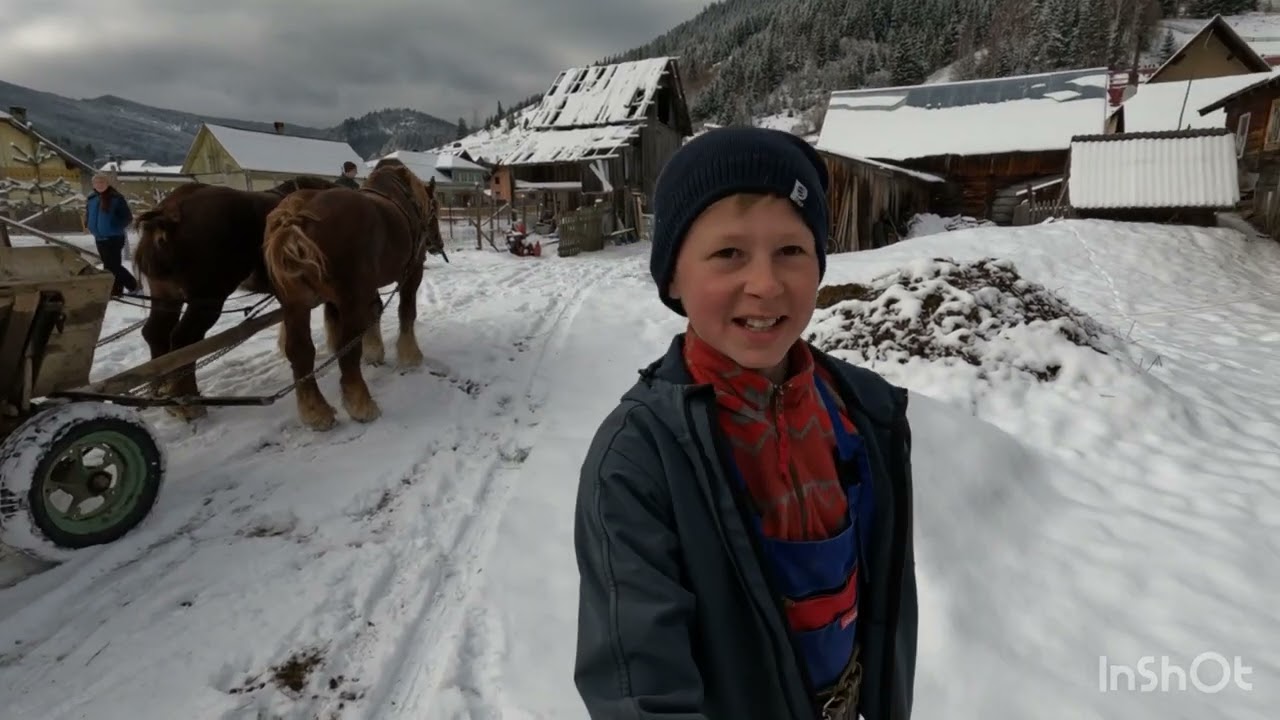 CAI 🐎 FRUMOȘI -BĂIEȚI CU CAII DE LA CARLIBABA .SUCEAVA -LOCALITATE UNDE ERAU 100 PERECHI DE CAI