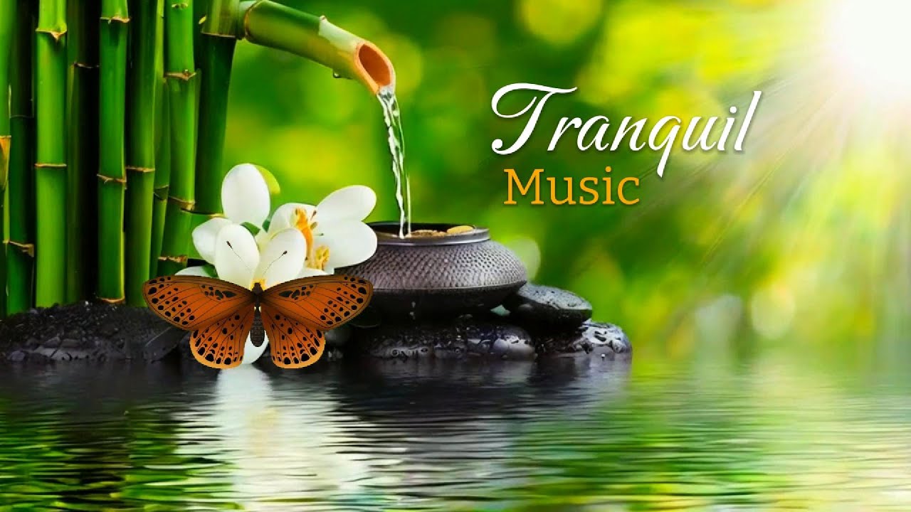 Relaxing Soundscape 🌼 Tranquil Music for Inner Harmony and Deep Healing
