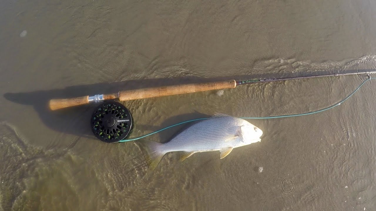 Fly Fishing the Southern California Coast