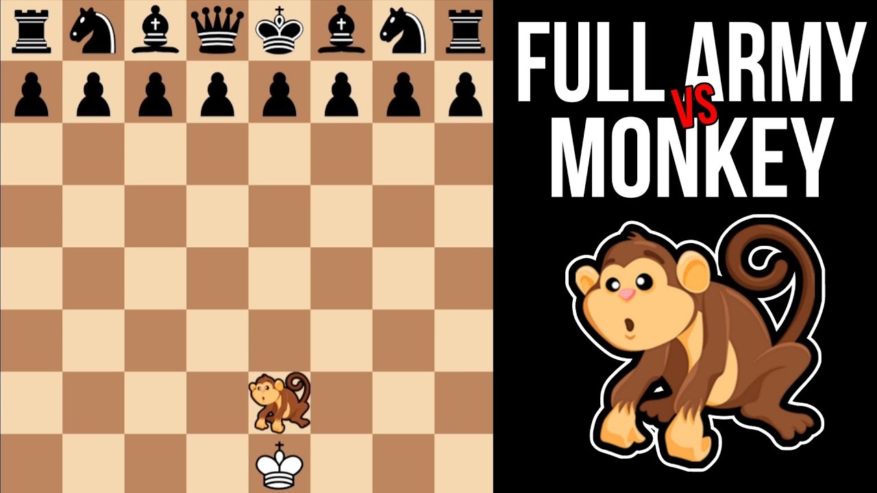 When THE MONKEY Enters the Chess Board!!