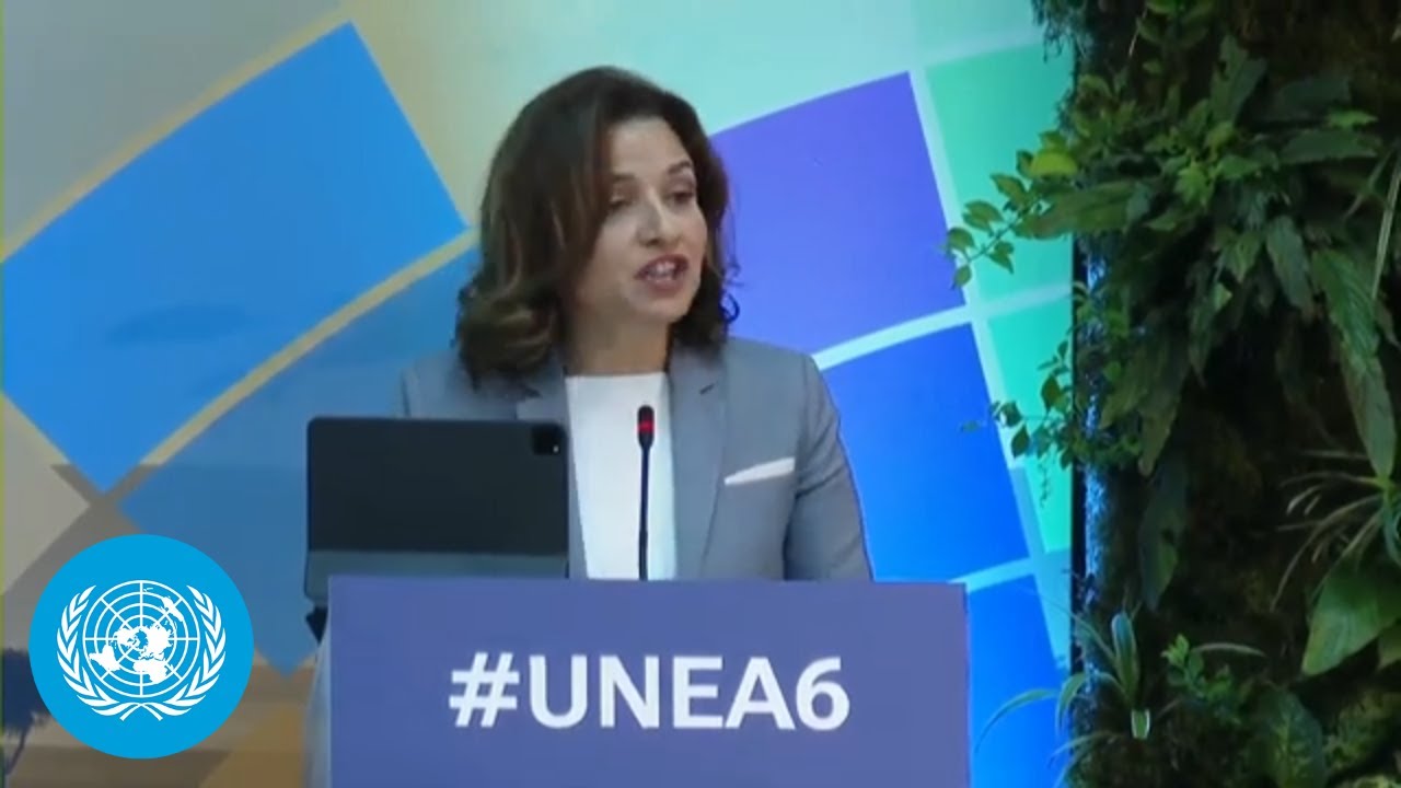 UNEA-6 President at High Level Segment & National Statements | United Nations Environment Assembly