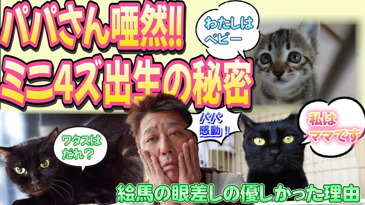 ミニ４ズ驚きの3世代説！絵馬がミニ４ズのおばあちゃん？！