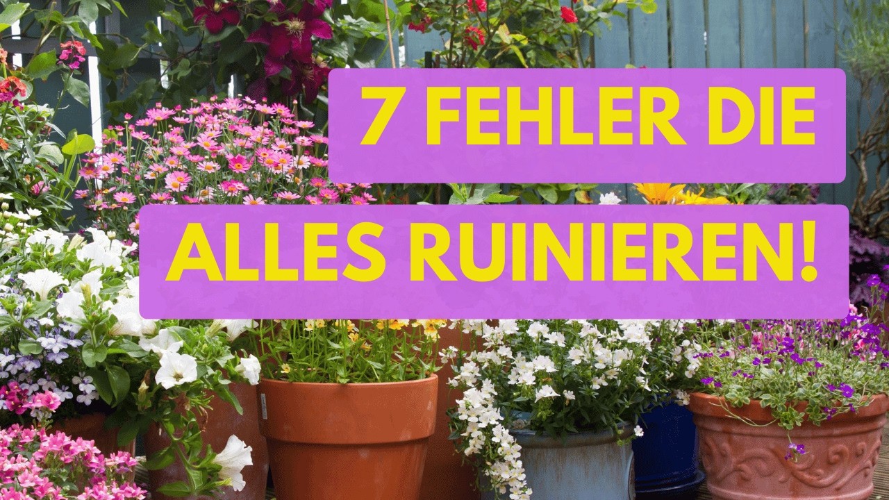 Diese 7 Fehler ruinieren deinen Garten!