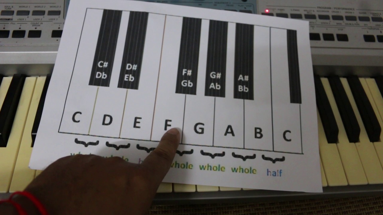 lesson 5 study organ khmer