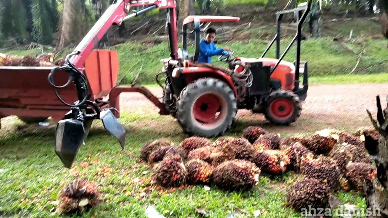 Mesin Loding Buah Kelapa Sawit | kubota L3200 Crane Grabber