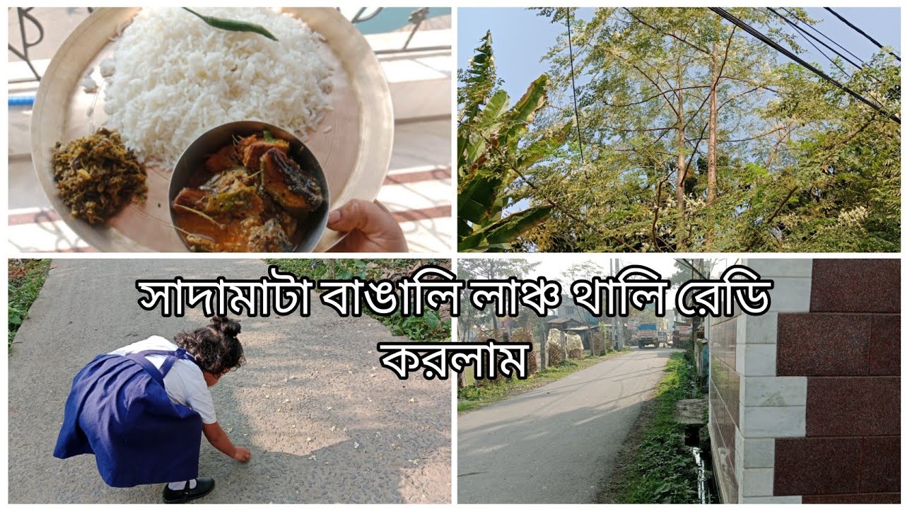 সাদামাটা বাঙালি লাঞ্চ থালি 🍛রেডি করলাম ।