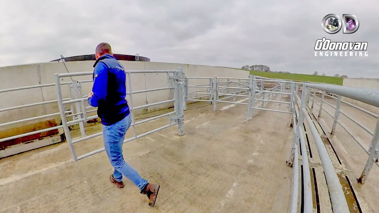 Cattle Handling 360-Degree Gate