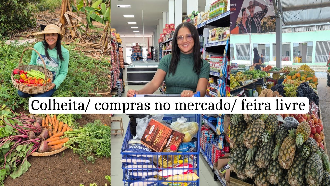 Compras no supermercado/ colheita e almoço/ chuva na roça 