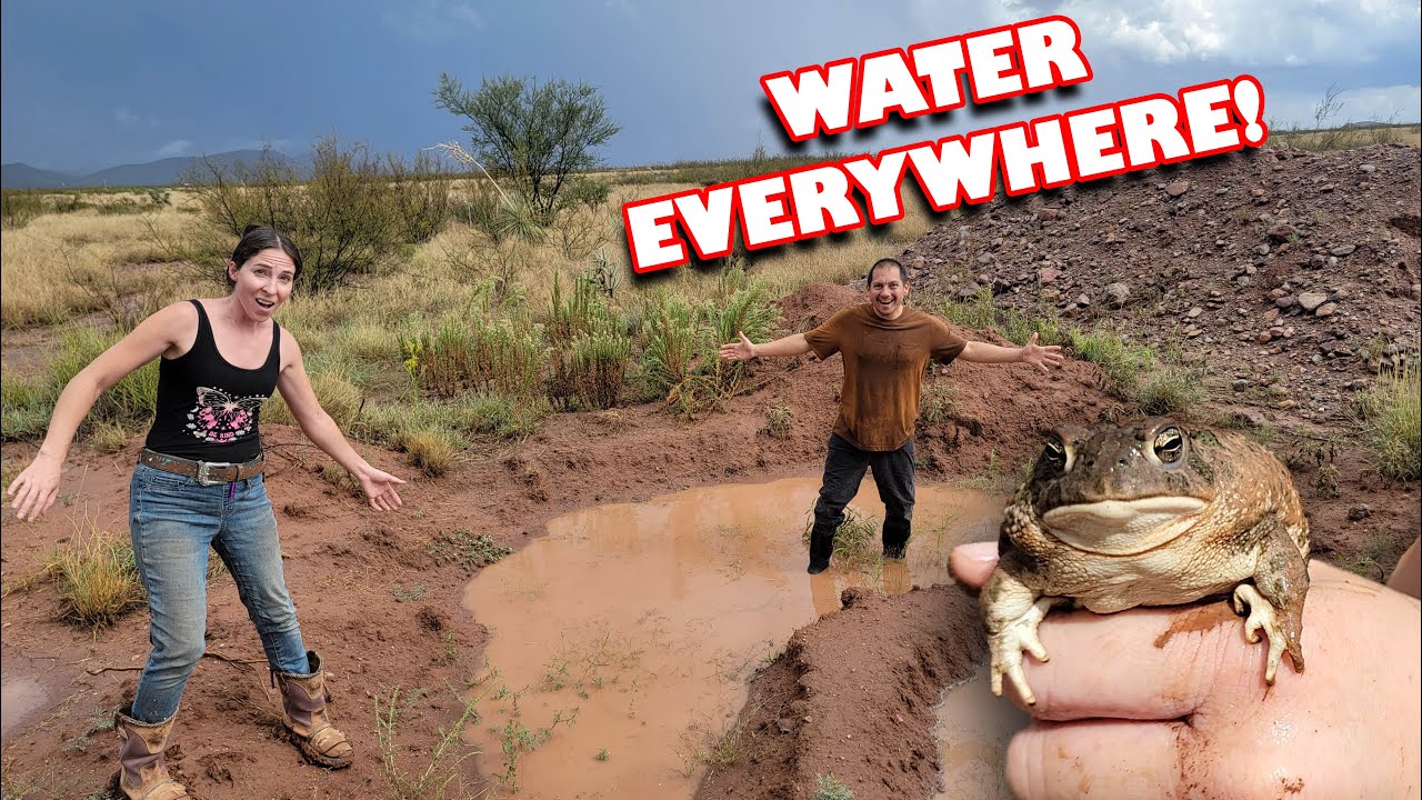 Huge Storm TEARS Through Our Land! Rainwater Berms and Basins Put to the Test | Hovsco HovCart Ebike