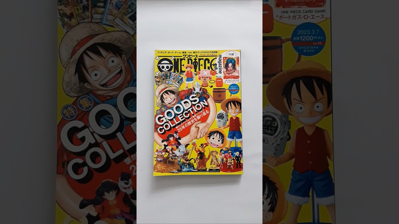 ONE PIECE Magazine Vol.16