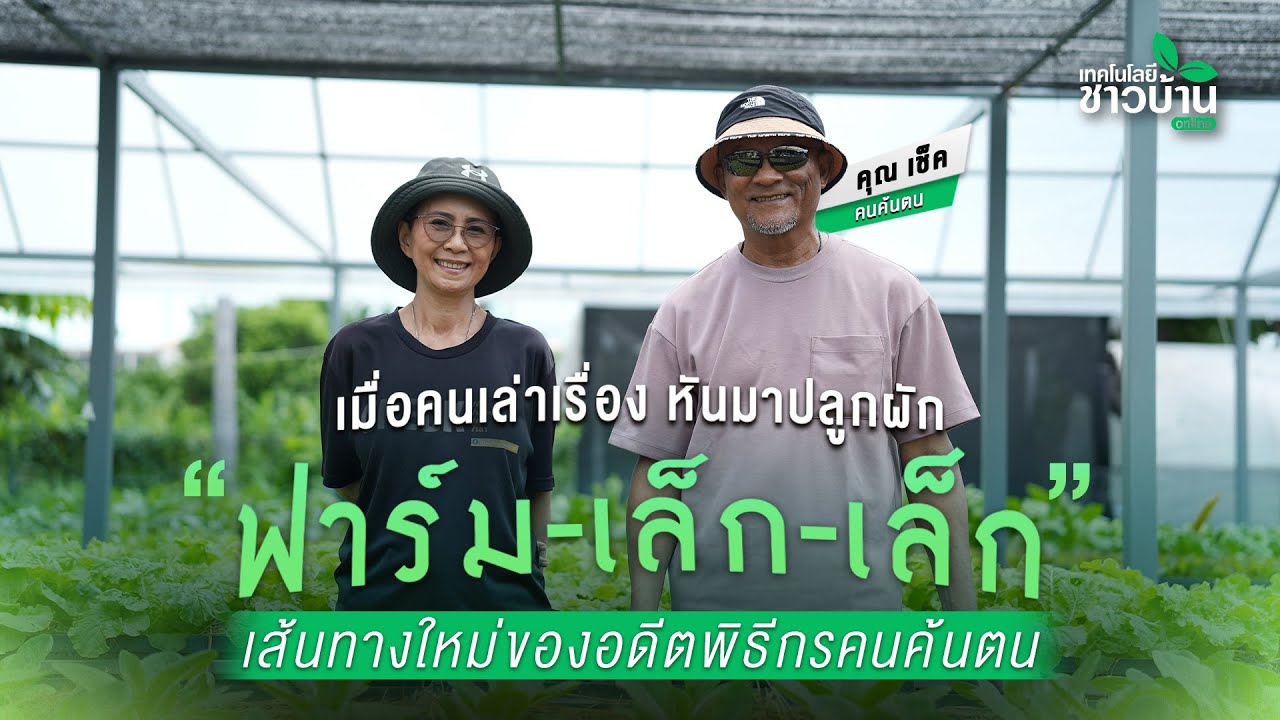 เมื่อคนเล่าเรื่อง หันมาปลูกผัก 