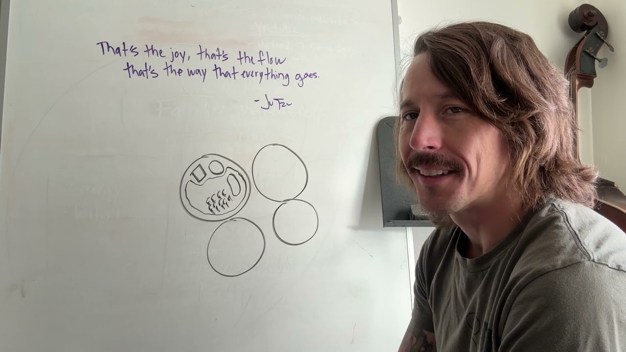 Intro to Kin's Domains