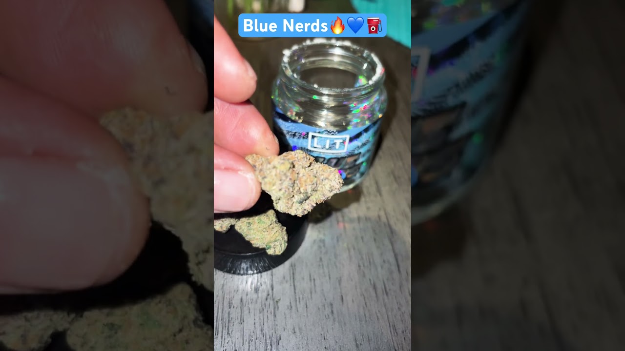 Blue Nerds Supreme Str8 Gas ⛽️🔥🫶🏾 #shorts #litfarm #review #reels