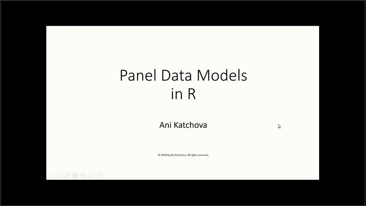 Panel Data Models in R