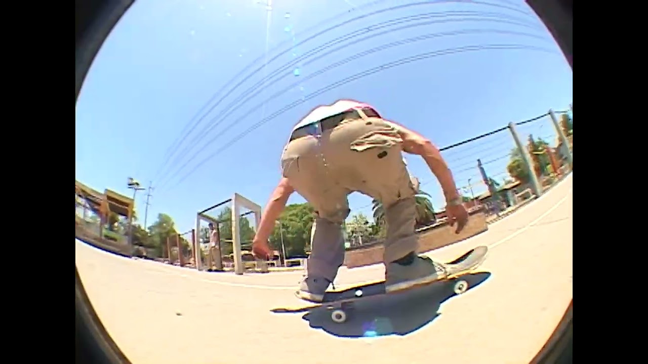 Sami laibe 2024-2025