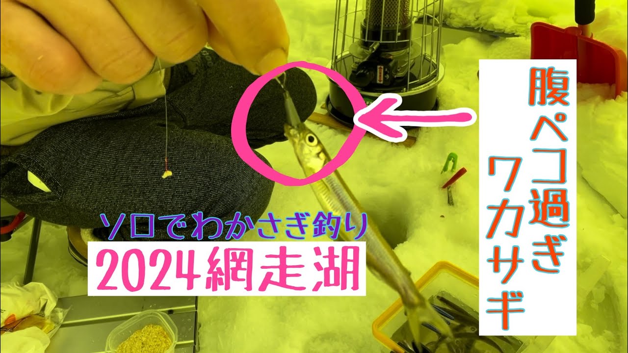 氷上ワカサギ釣りin網走湖　オモリにも食いつくほどの入れ食い！爆釣りまで楽しむ