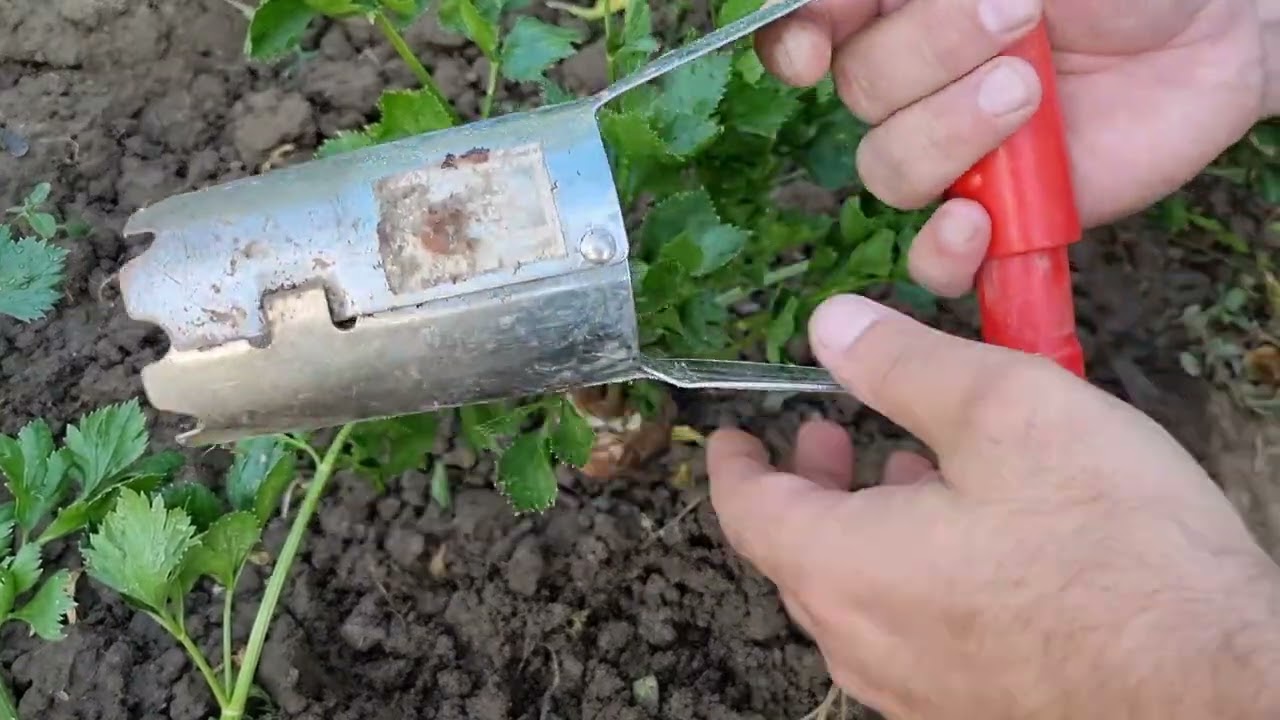 Turbózd fel a zellered!