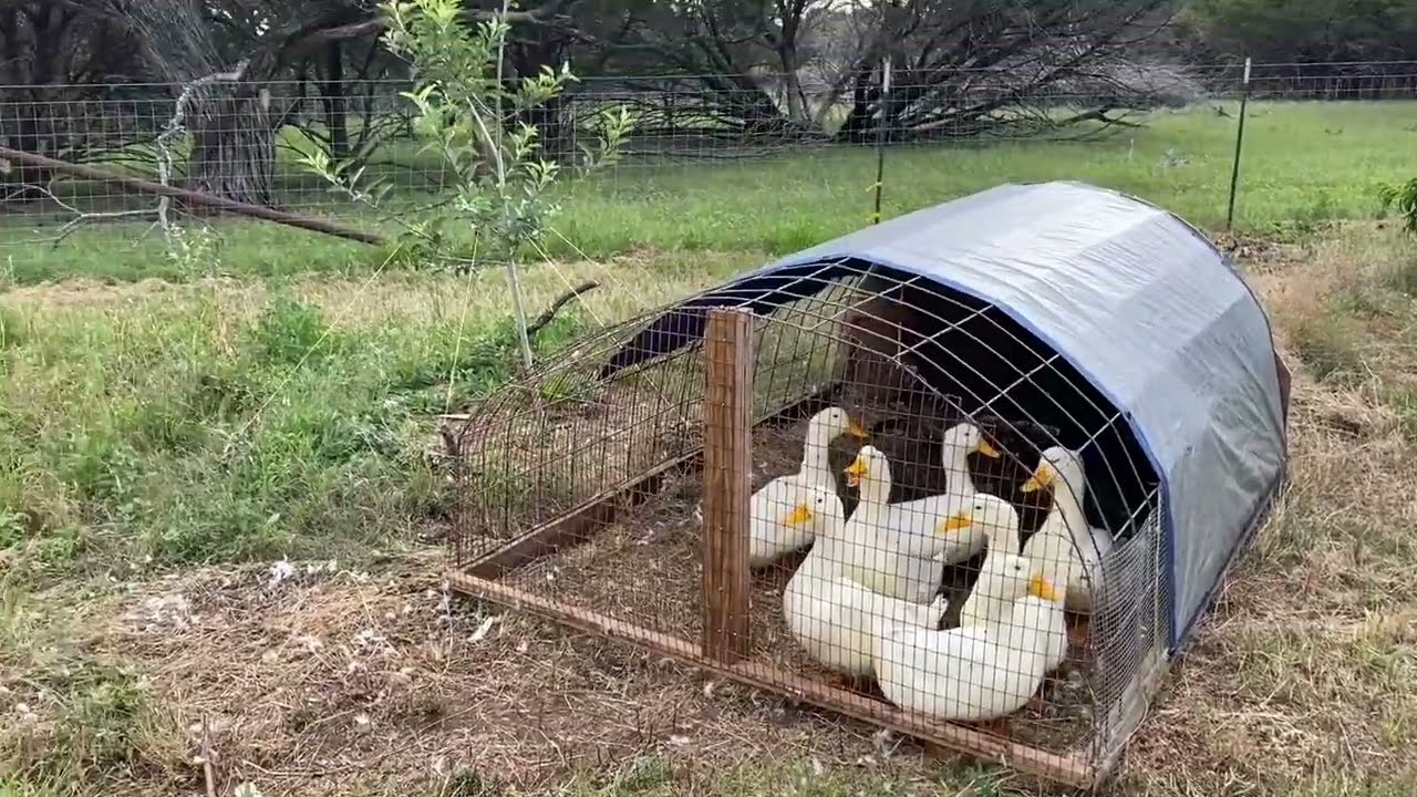 Farm tour June 2023