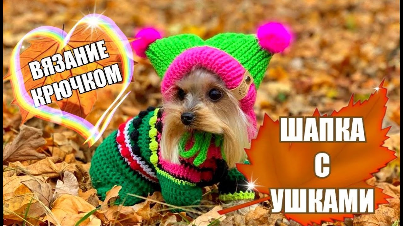 Милота зашкаливает! Вяжем шапку с ушками для собак и кошек крючком 🐾💕 | Мастер-класс от Яны Skywool