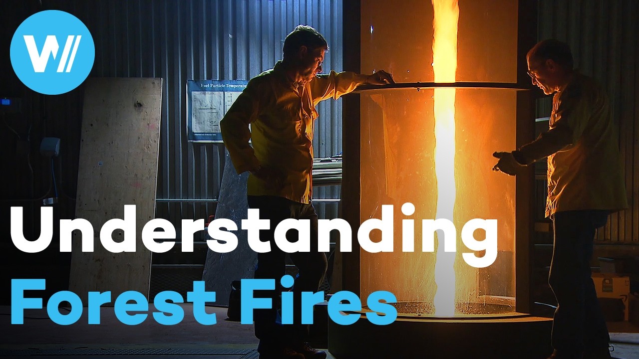 Wildfires exacerbated by climate change | Researching prevention and intervention (Full documentary)