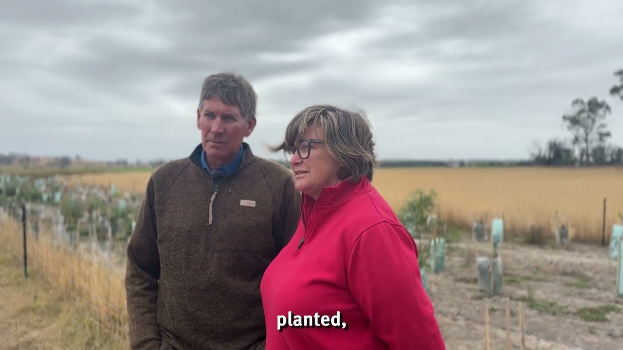 On-farm case study - Ken and Jill Lawrence, Fermer - Tamar Action Grants: For our estuary's future