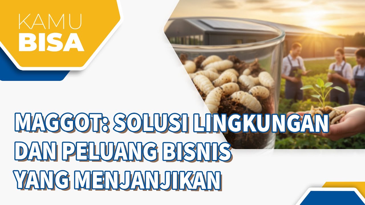 MAGGOT: SOLUSI LINGKUNGAN DAN PELUANG BISNIS YANG MENJANJIKAN