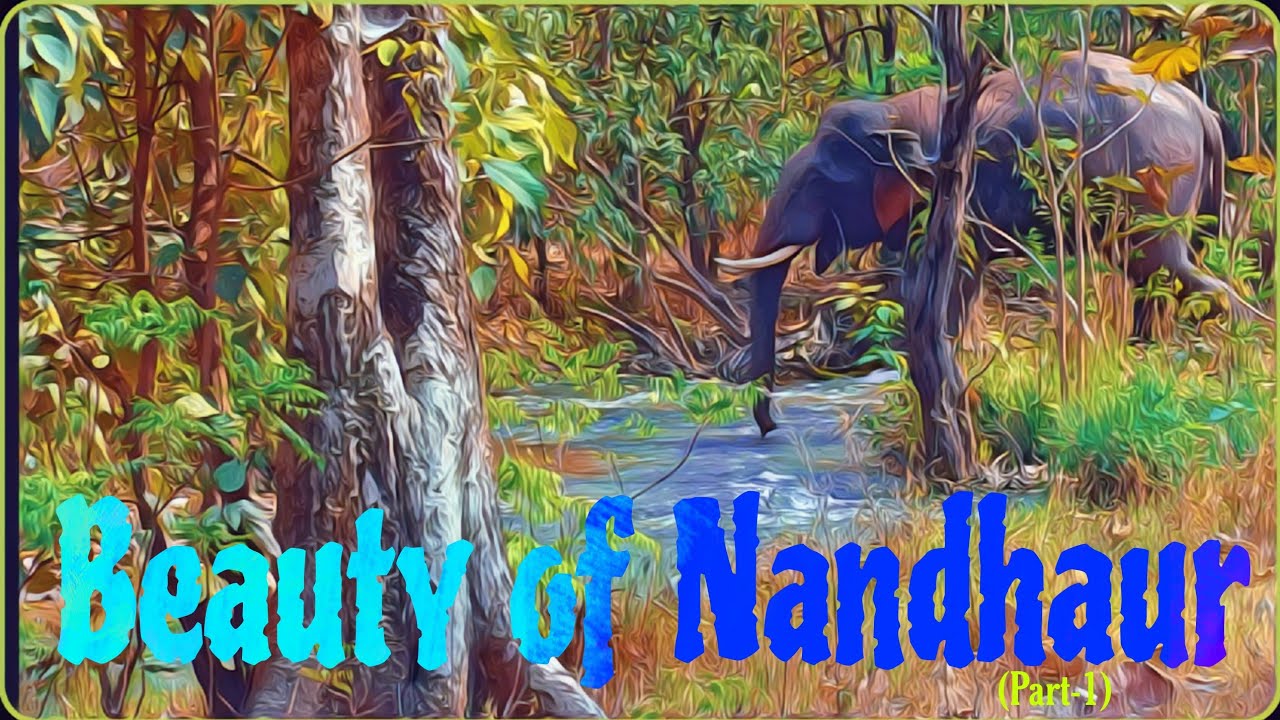 Nandhaur Wildlife Sanctuary (Part 1) || #Jim Corbett National Park #Nandhaur Wildlife Sanctuary