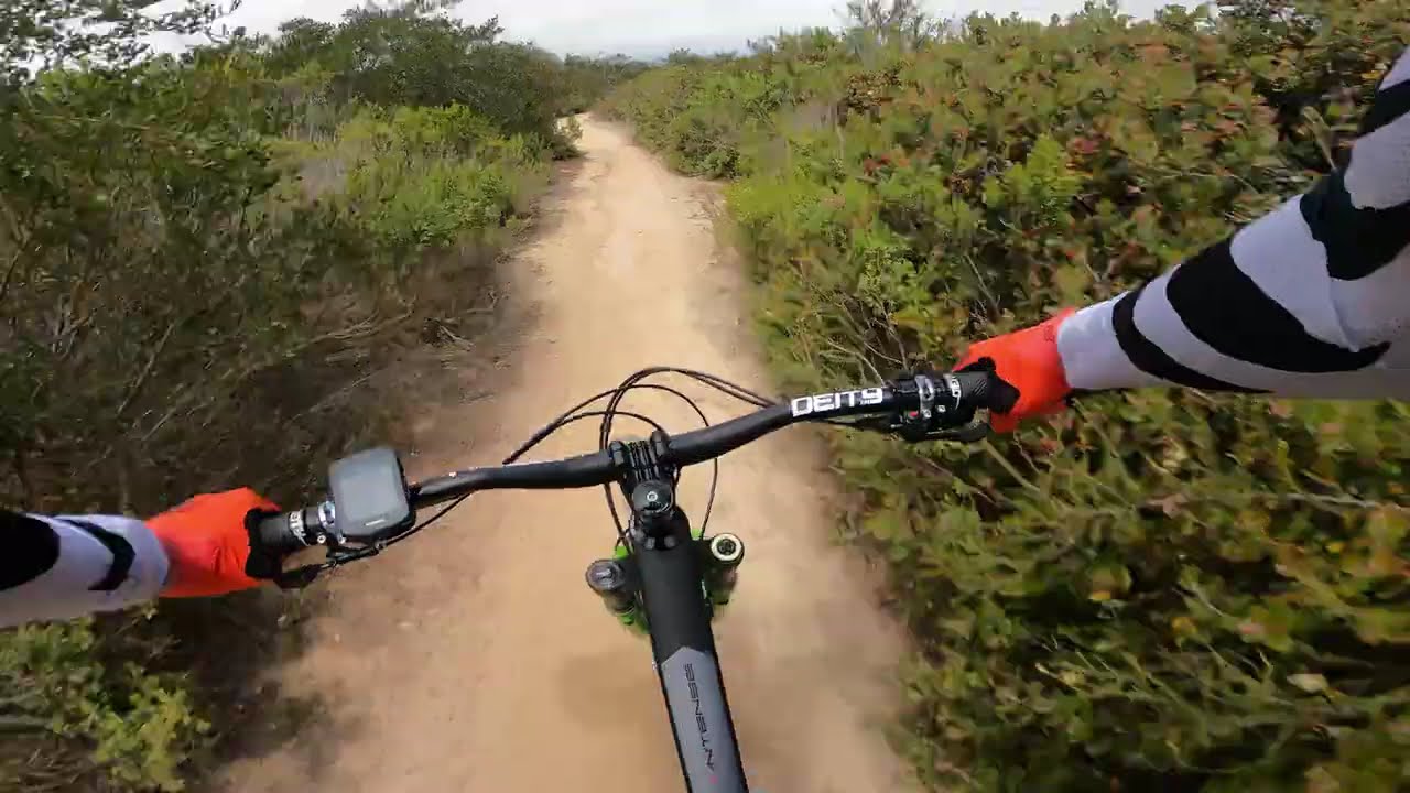 Fort Ord Trail 15